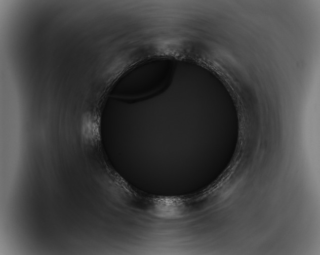 X0000093500432200710121516