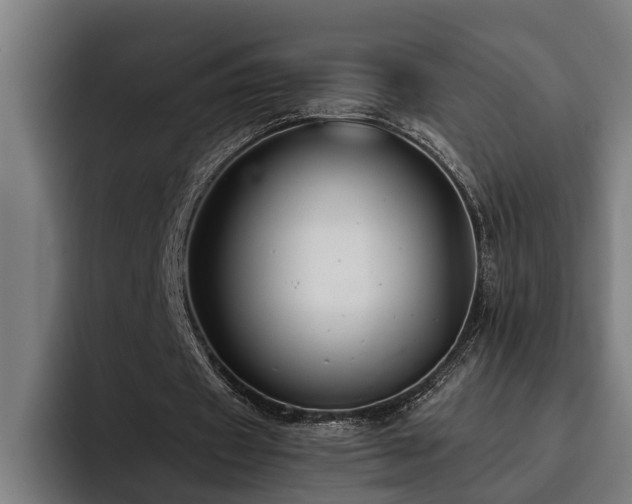 X0000093500433200710121516