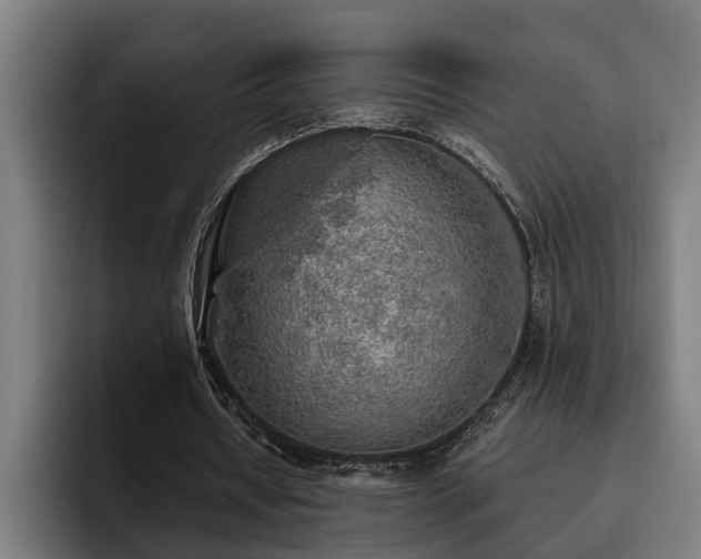 X0000093500434200710121516