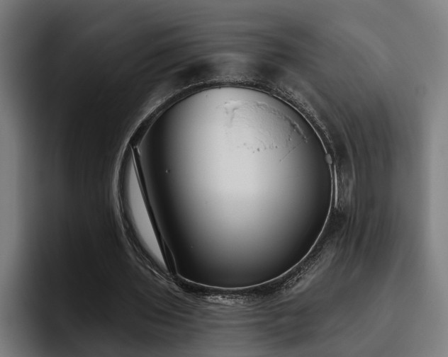X0000093500435200710121516