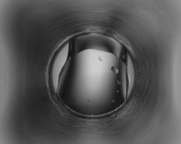 X0000093500436200710121516
