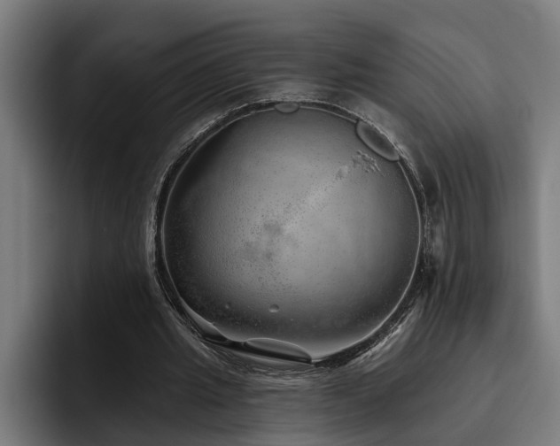 X0000093500437200710121516