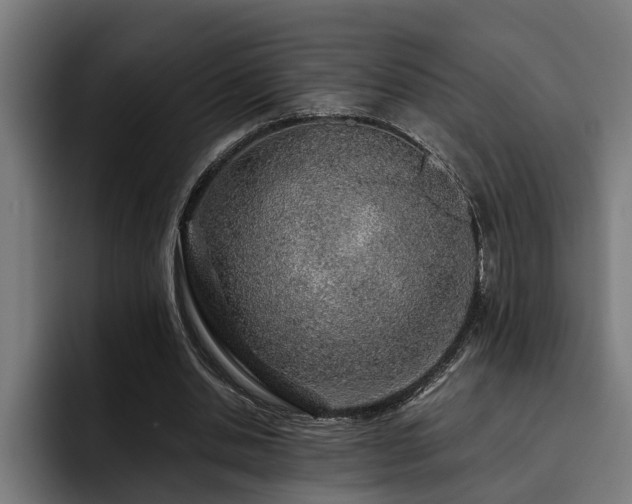 X0000093500438200710121516