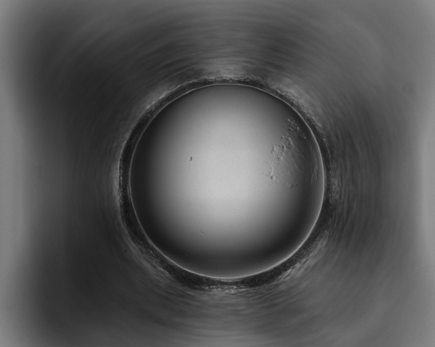 X0000093500439200710121516
