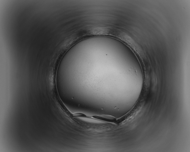 X0000093500441200710121516