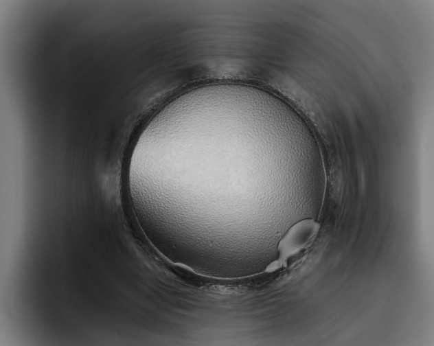 X0000093500442200710121516