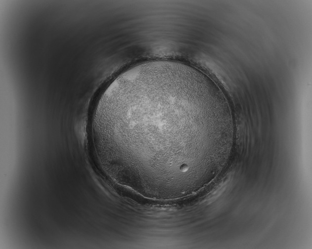 X0000093500443200710121516