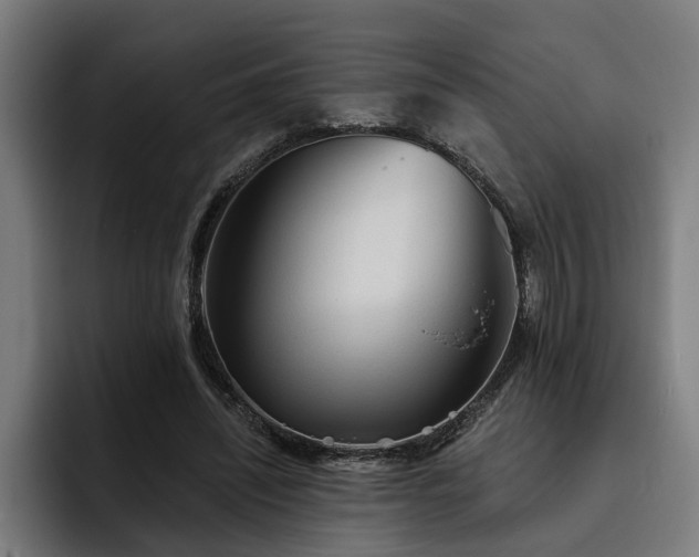 X0000093500444200710121516