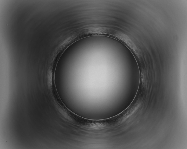X0000093500445200710121516