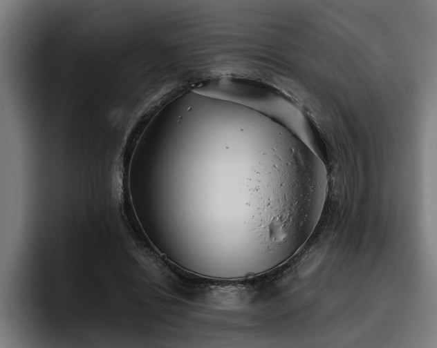 X0000093500446200710121516
