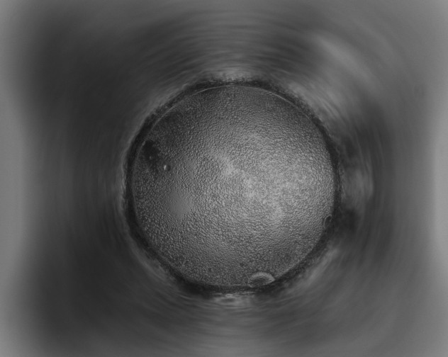 X0000093500447200710121516