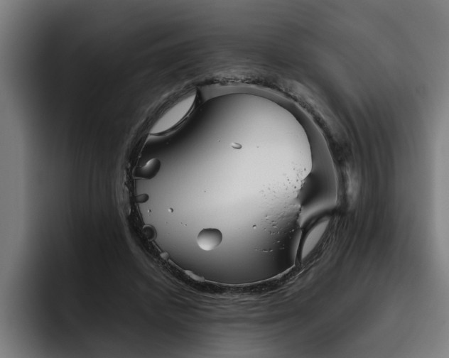 X0000093500448200710121516