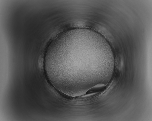 X0000093500449200710121516