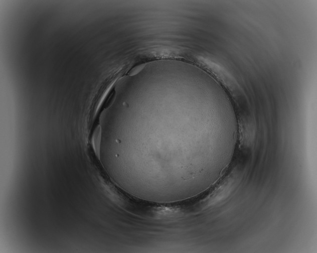 X0000093500453200710121516