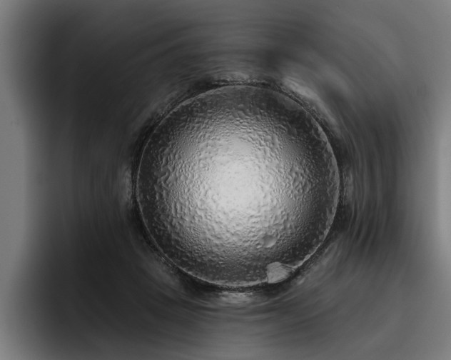 X0000093500457200710121516