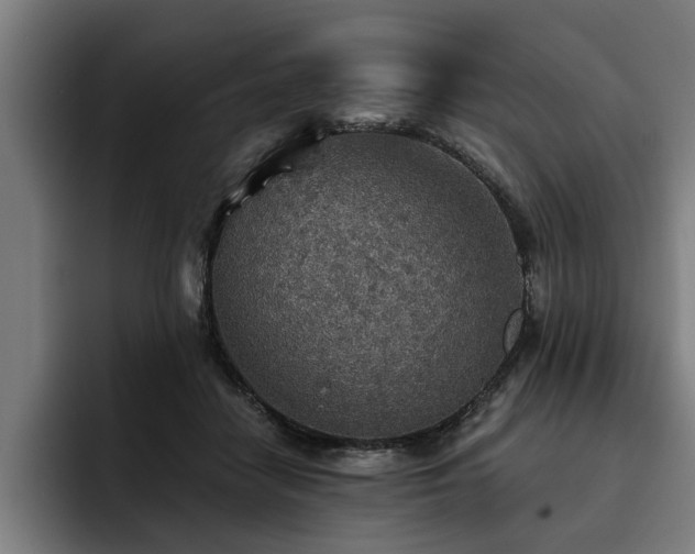 X0000093500458200710121516