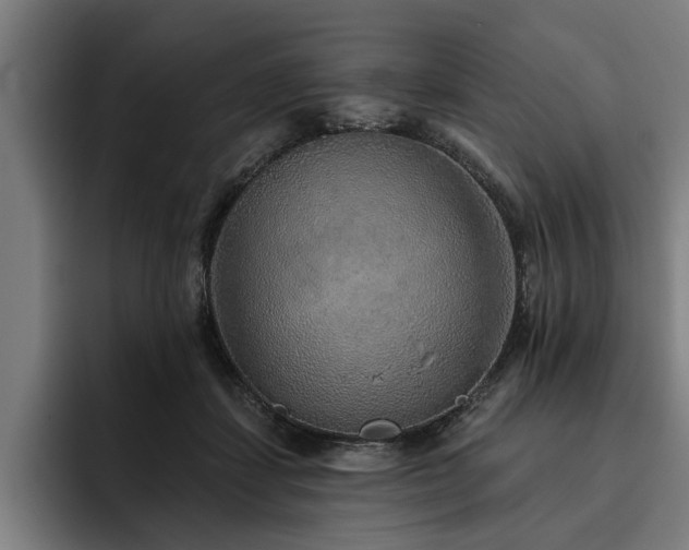 X0000093500459200710121516