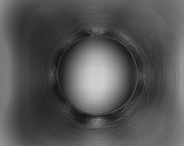 X0000093500460200710121516