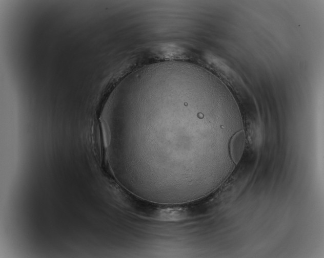 X0000093500461200710121516