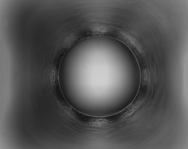 X0000093500463200710121516