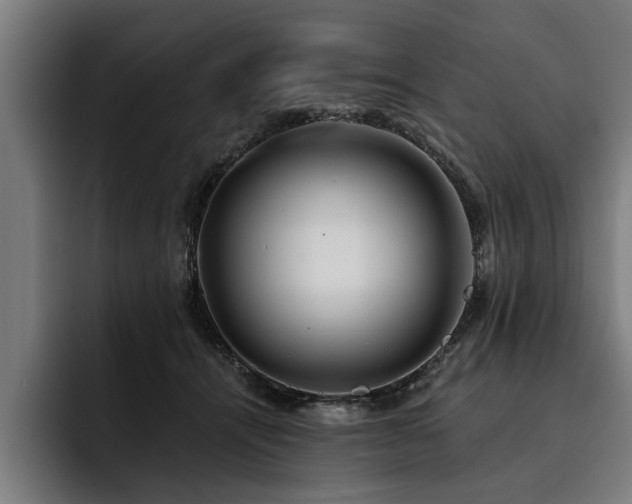 X0000093500464200710121516