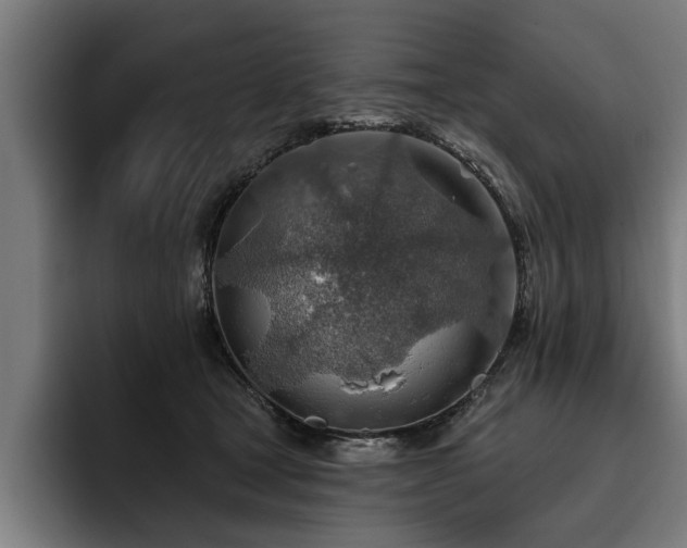 X0000093500465200710121516
