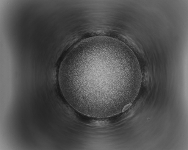 X0000093500466200710121516