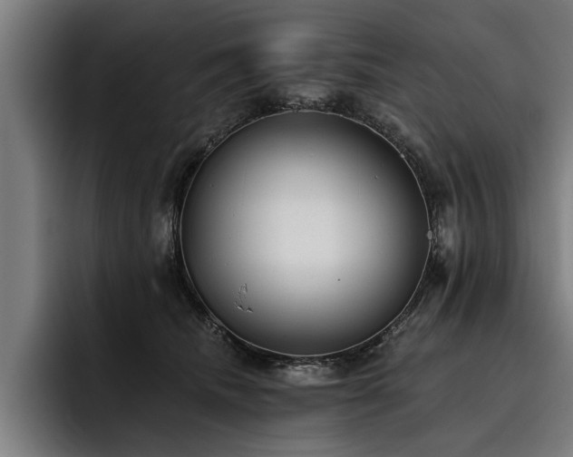 X0000093500468200710121516