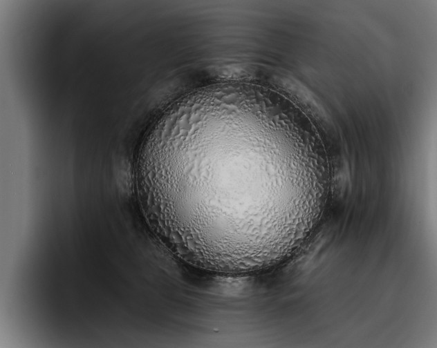 X0000093500469200710121516