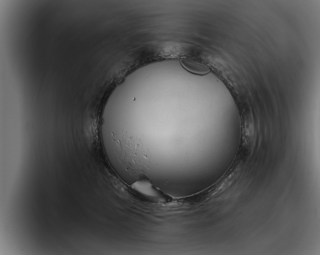 X0000093500473200710121516