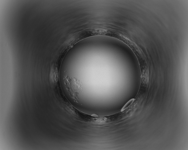 X0000093500474200710121516