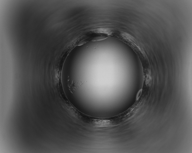 X0000093500476200710121516