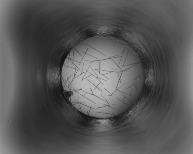 X0000093500478200710121516