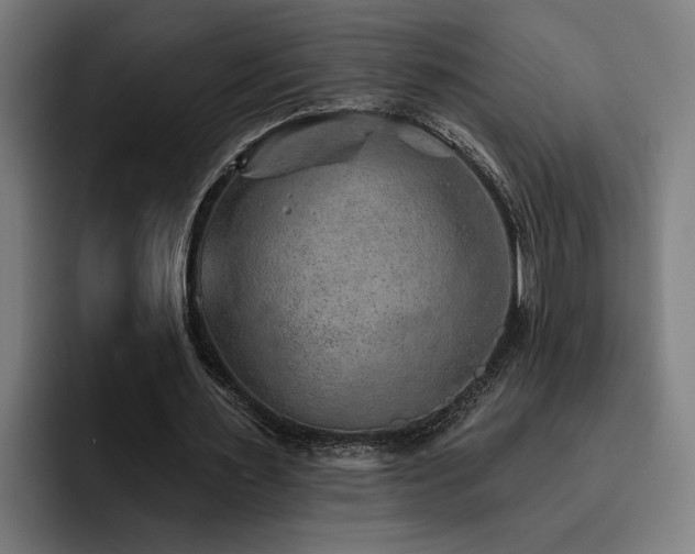 X0000093500483200710121516