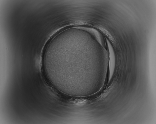 X0000093500484200710121516