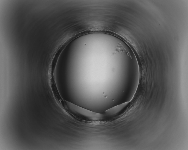 X0000093500485200710121516
