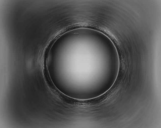 X0000093500486200710121516