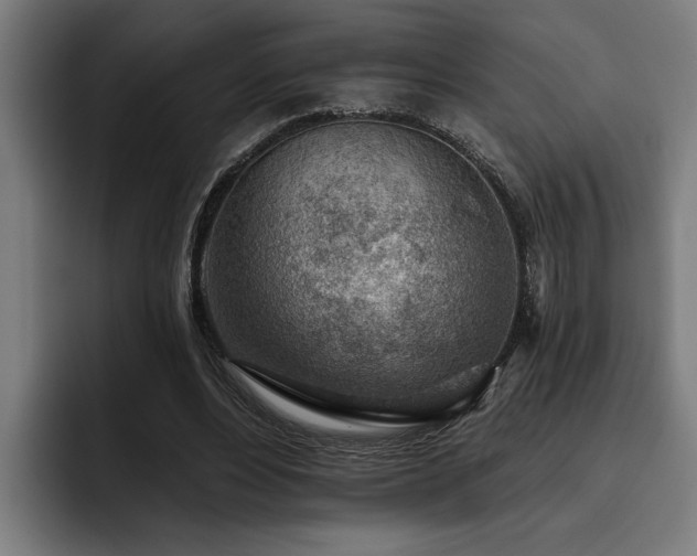 X0000093500488200710121516