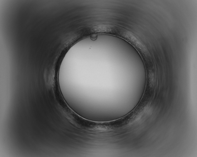 X0000093500490200710121516