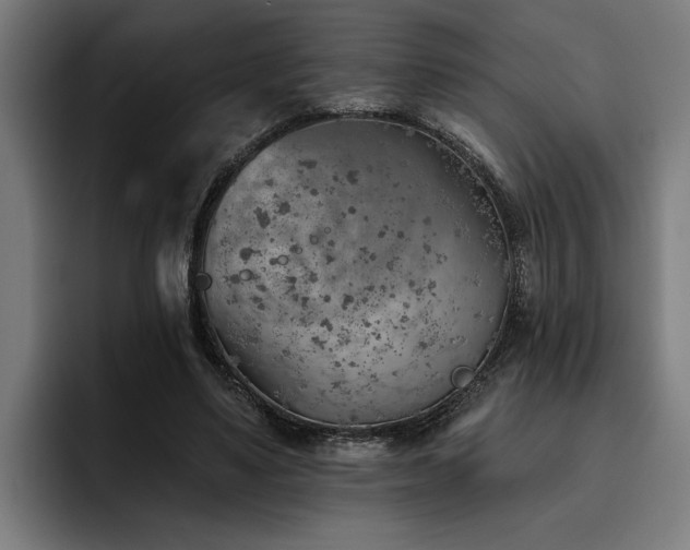 X0000093500491200710121516