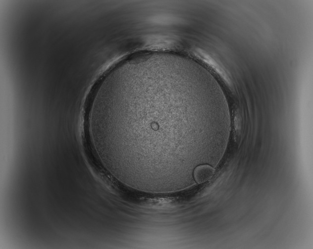 X0000093500492200710121516