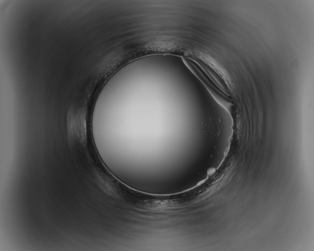X0000093500493200710121516