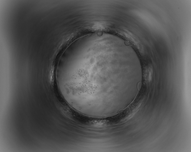 X0000093500495200710121516