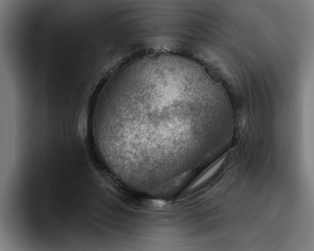 X0000093500496200710121516
