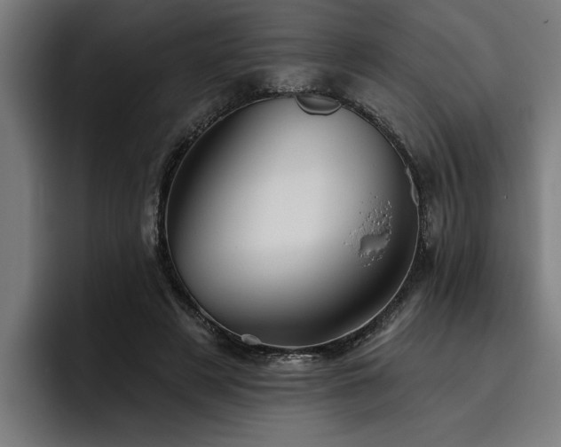 X0000093500497200710121516