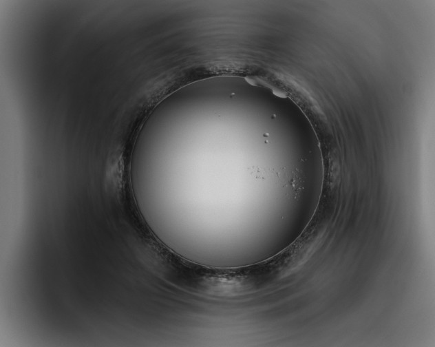 X0000093500498200710121516