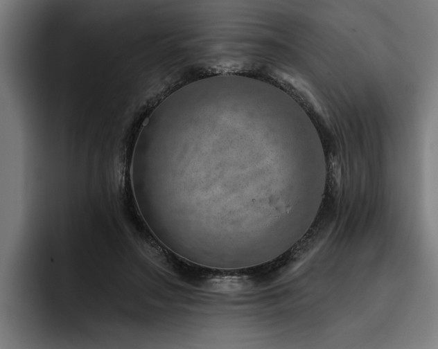 X0000093500499200710121516