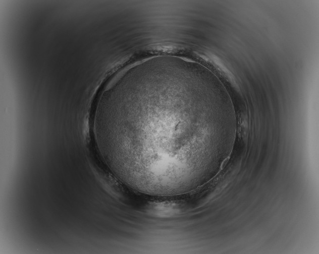 X0000093500500200710121516