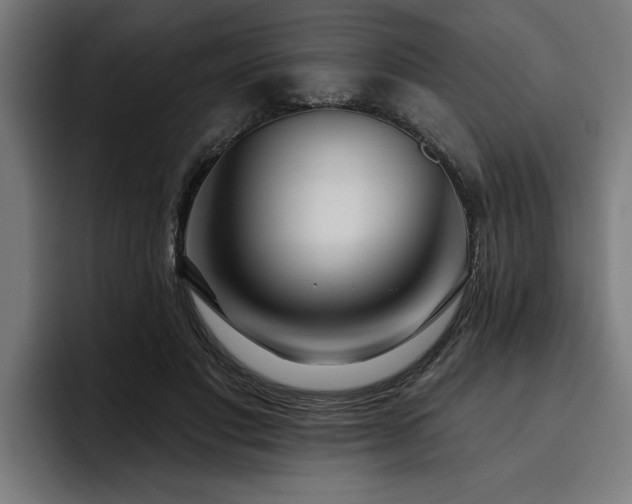 X0000093500501200710121516