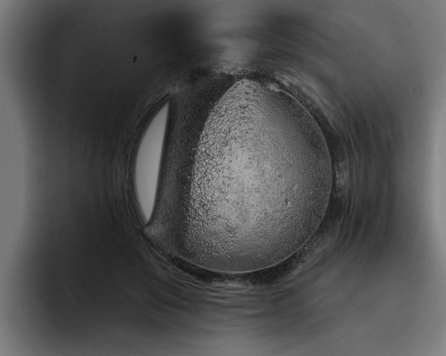 X0000093500503200710121516